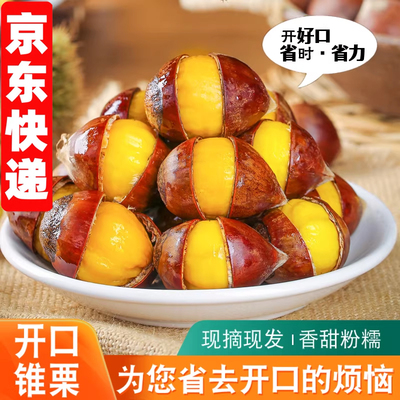 开好口的新鲜锥栗解放双手
