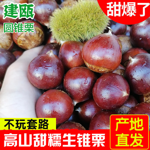 坏果包赔付京东包邮现摘建瓯锥栗