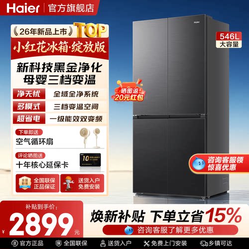 大容量空间 一级能效 黑金净化