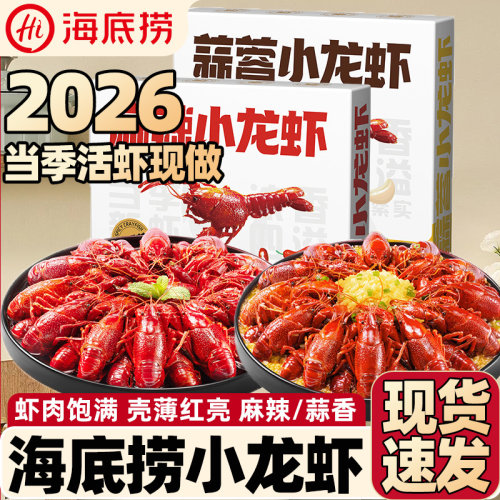 2026年新虾海底捞小龙虾蒜蓉小龙虾麻辣小龙虾夜宵烧烤加热即食