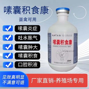 嗉囊炎鸡鸽药嗉囊清嗉囊特号积食康胀气鸽子鹦鹉鸟嗉囊炎鸡用大全