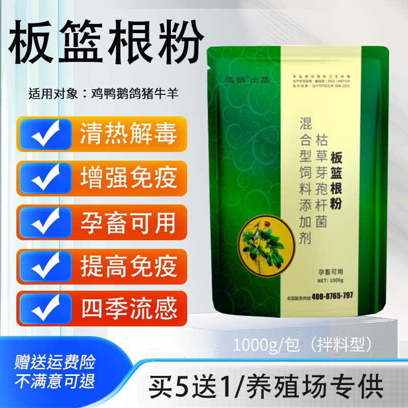 兽用板蓝根粉散末猪牛羊用抗病毒