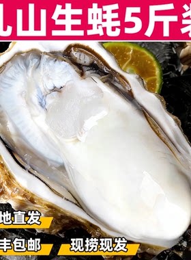 正宗鲜活山东乳山生蚝5斤新鲜海蛎子特大带壳贝类海鲜刺身即食