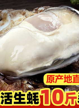 乳山鲜活生蚝新鲜海蛎子超大带壳贝类海鲜刺身水产批发一整箱10斤