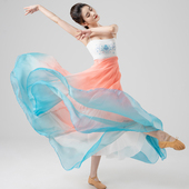 新款 现代大摆裙演出服 古典舞练功服女飘逸中国风身韵纱衣舞蹈套装