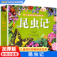 小树苗儿童成长经典 昆虫记 法布尔原著正版 全彩注音版 阅读宝库小学生一二三年级课外书籍阅读带拼音文学读物幼儿睡前故事书 加厚版
