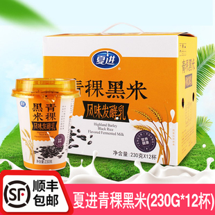 夏进青稞黑米风味发酵酸奶12杯装低温老酸奶宁夏吴忠酸牛奶