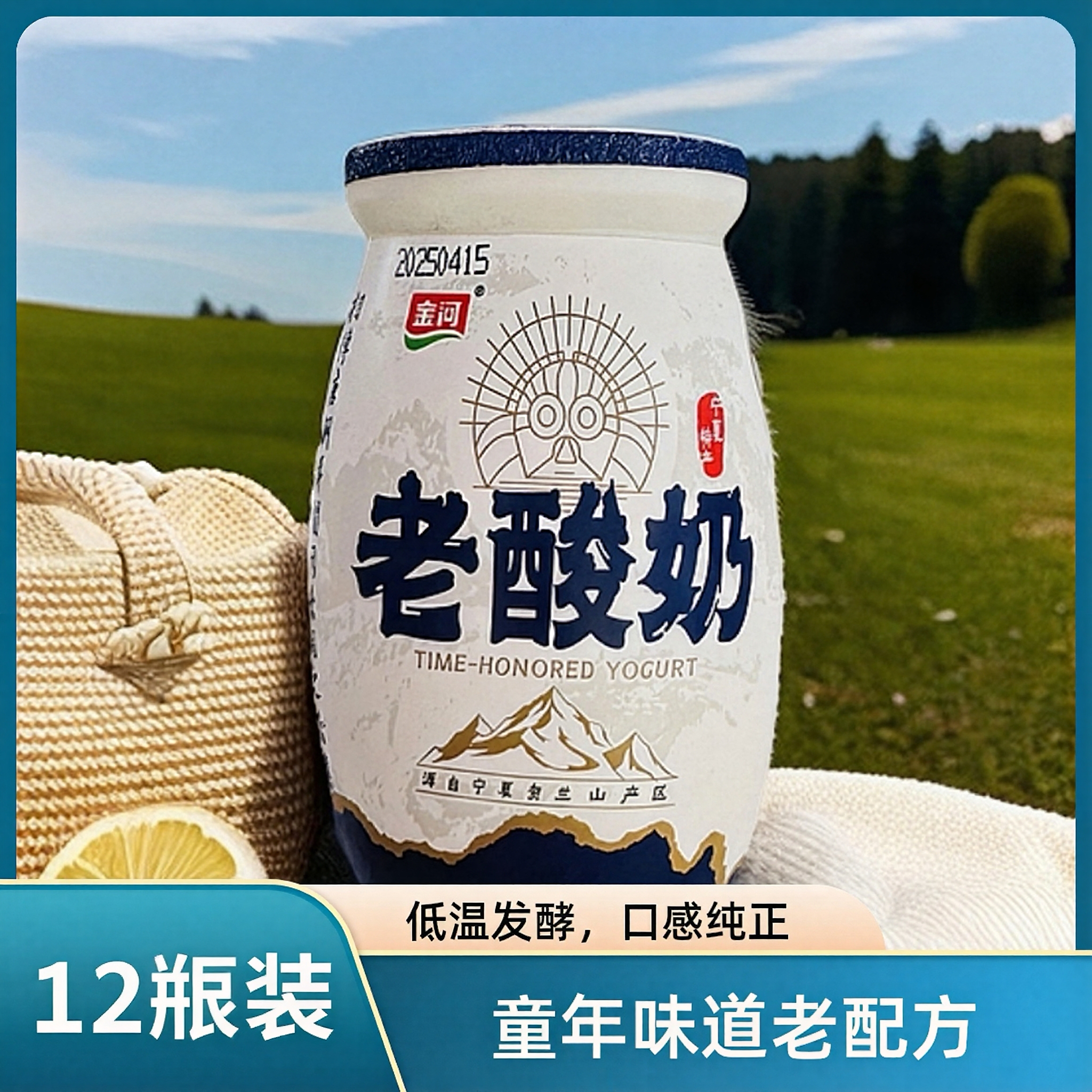 金河老酸奶12罐装低温发酵乳正宗宁夏老酸奶特产180克实体同款