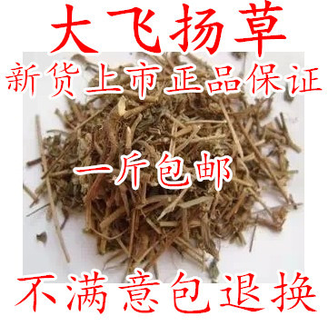 野生飞扬草中药材包邮