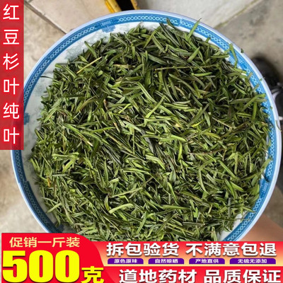 红豆杉叶中药材500克包邮 纯叶无枝杆天然无硫正品精选货含紫杉醇