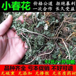 野生小春花一朵云蛇不见阴地蕨独脚金鸡阴地厥中草药材500g克包邮