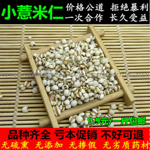 薏米仁新货 特级薏米 薏仁米 薏米苡米仁500g 粗粮包邮可打粉