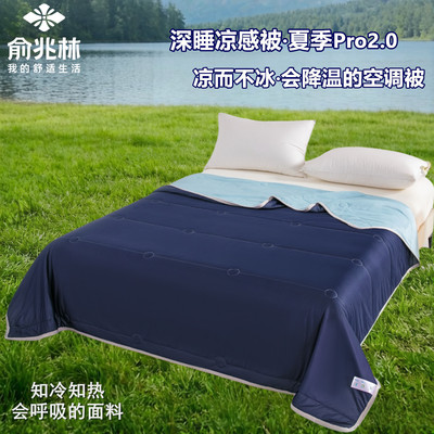 俞兆林A类冰丝抗菌可机洗夏被