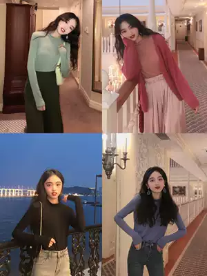 SYT Hong Kong style chic all-match long-sleeved inner T-shirt women's semi-high neck early spring slim slim solid color inner top