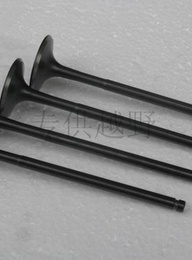 正林宗申NC250水冷发动机配件 NC A7 X7 K6 T6气门 送油封