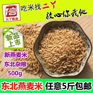 新货新鲜粗粮燕麦米东北全胚芽燕麦五谷杂粮燕麦仁寒地粗粮500g