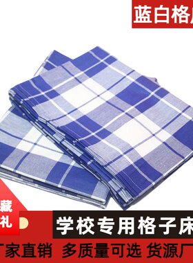 学生宿舍蓝白格床单单件
