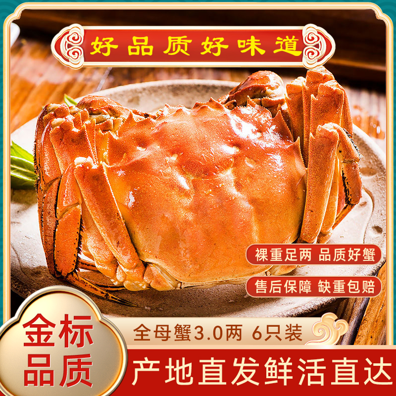 大闸蟹六只全母3.0两礼盒