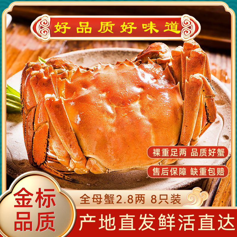 大闸蟹八只全母蟹2.8两礼盒装