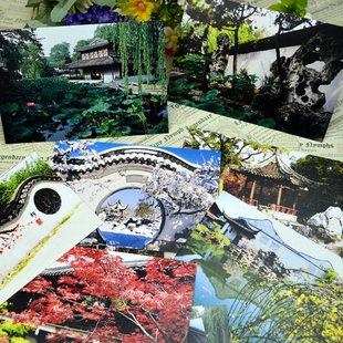 江苏明信片 周庄古镇扬州苏州园林同里南京大学旅游风景5款选