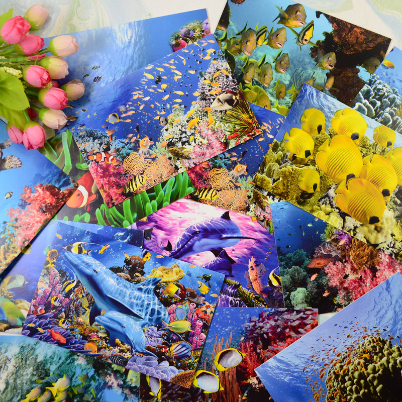 海底世界水族馆鱼类插画明信片