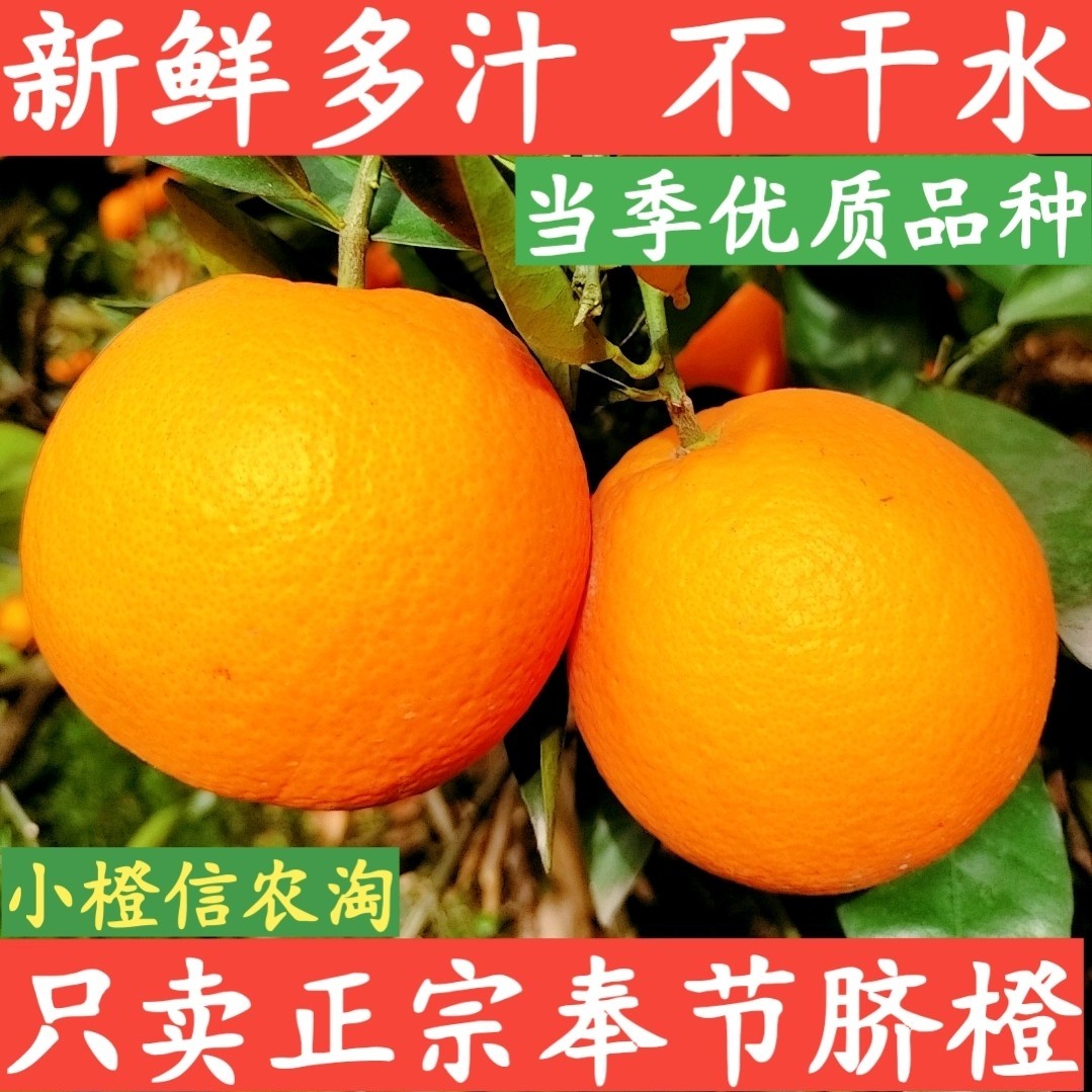 正宗奉节脐橙纽荷尔福本橙子孕妇儿童新鲜当季甜橙大果9斤礼盒