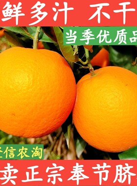 正宗奉节脐橙纽荷尔福本橙子孕妇儿童新鲜当季甜橙大果9斤礼盒