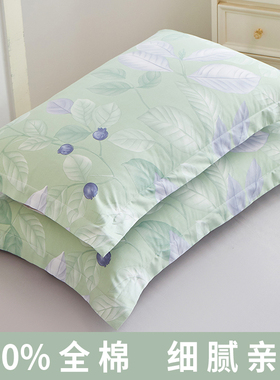 纯棉枕套一对装100全棉枕头套成人大人家用枕芯内胆套2025新款WW.