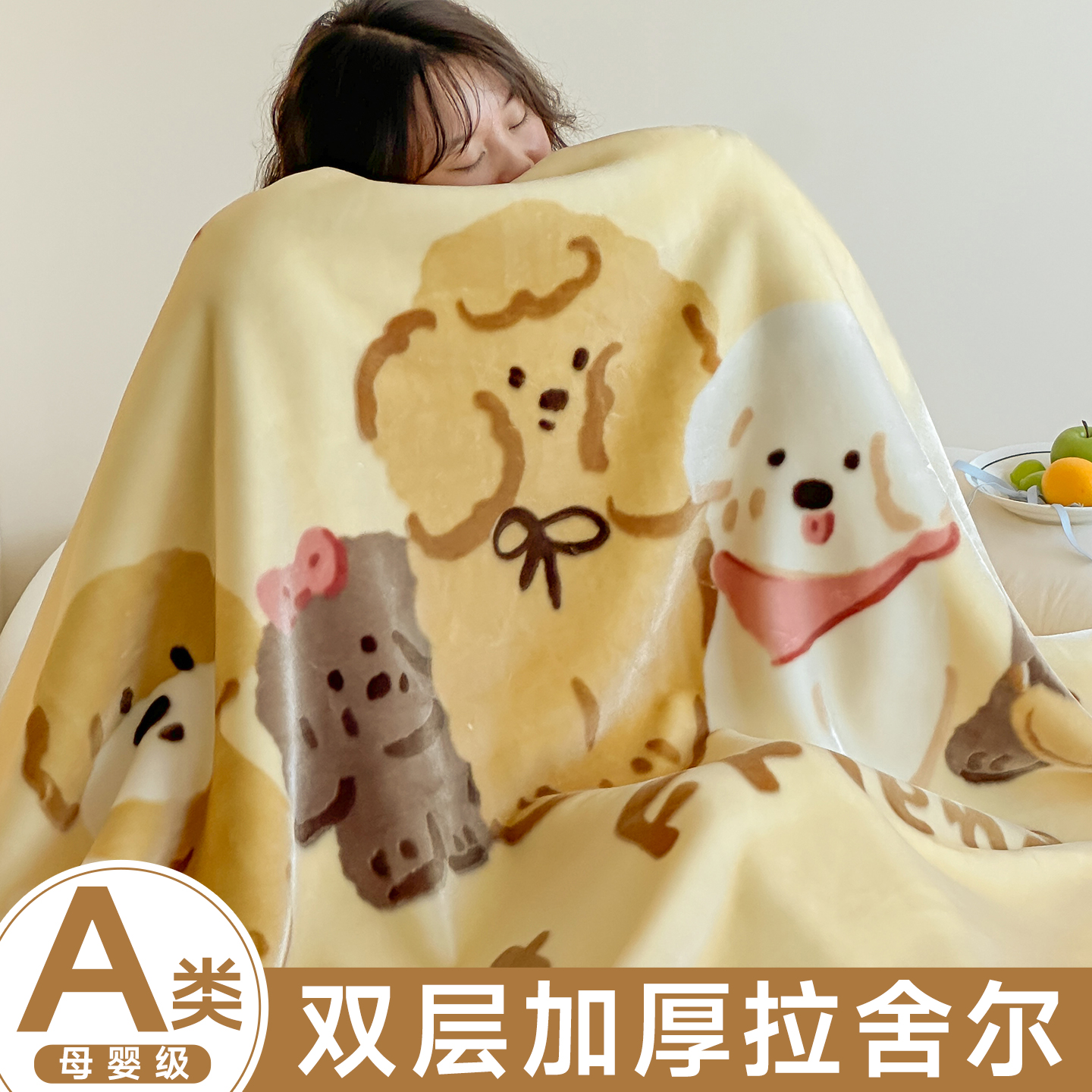 拉舍尔毛毯冬季单人加厚毯子冬天学生宿舍珊瑚绒盖毯被子午睡盖被
