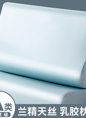 夏季天丝乳胶枕套30x50夏天冰丝记忆枕头套成人40cmx60cm枕芯套R.