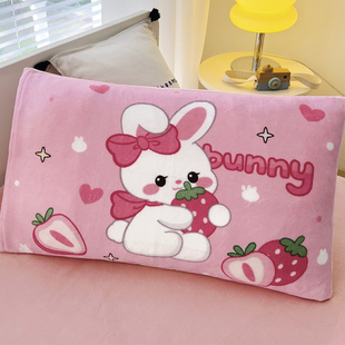 冬季儿童牛奶绒枕套30x50宝宝冬天小枕头套小号枕芯内胆套一对装.