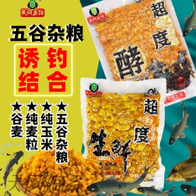 天网鱼饵麦粒野钓竞技水库打窝料
