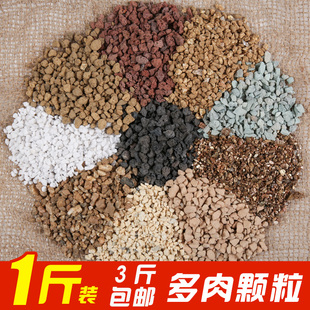 1斤 多肉颗粒铺面石（精筛除粉）火山岩绿沸石黄金麦饭石小白石