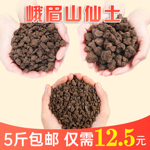 峨眉山荷王仙土兰花专用颗粒土
