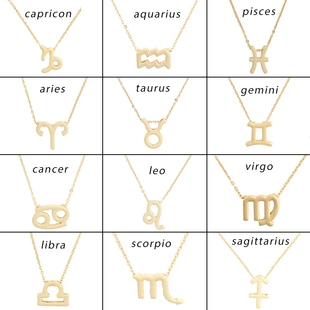 With Card 12 Zodiac Sign Necklaces Pendant Chains Choker