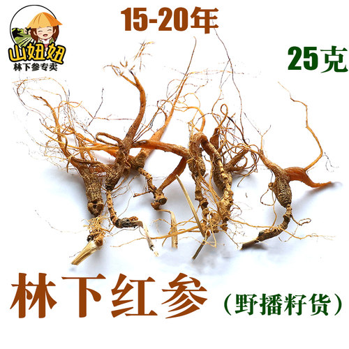 林下参红参野播籽货野生红参微残野红参野外生长原生态15-20年25g