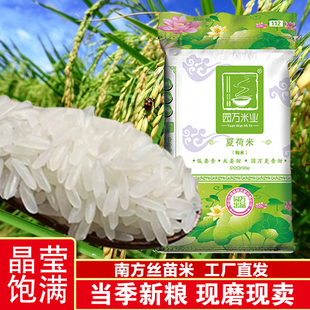岐江河园万米业夏荷米15kg南方米籼米