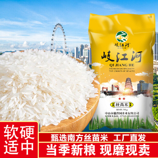 岐江河园万米业岐江河丝苗米二星14kg南方丝苗米