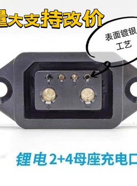 爱玛小牛电动车天能星恒锂电池2+4充电口插头电源线充电器转接头