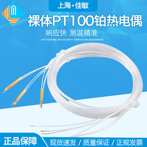 裸体pt100热电阻温度铂热电阻