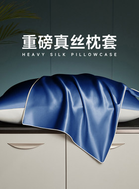 真丝枕套一对装桑蚕丝30姆米丝绸枕套枕巾夏季天丝枕头套48x74cm