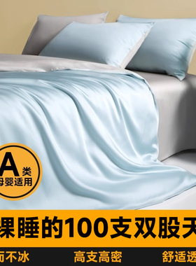 A类200兰精天丝四件套床笠床单被套裸睡2025新款床上用品四季通用