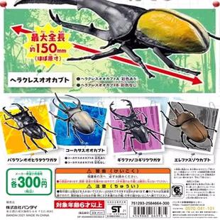 正版万代扭蛋 世界之昆虫3 生物大百科 甲虫 锹形独角仙 手办模型
