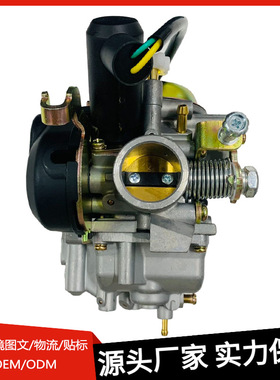 适用豪爵铃木海王星HS125T AN125红金蓝巨福星超人QS150T化油器