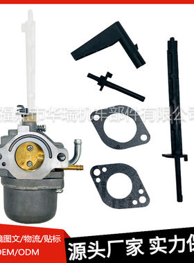 化油器适用Briggs & Stratton 796122 696737 794593 793161