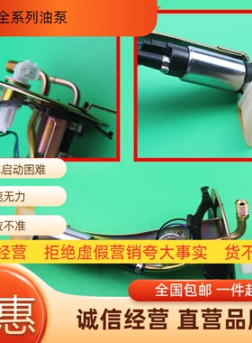 适配三菱猎豹V3骑兵V33V43 Q6 4RB3黑金刚汽油泵燃油泵芯总成包邮