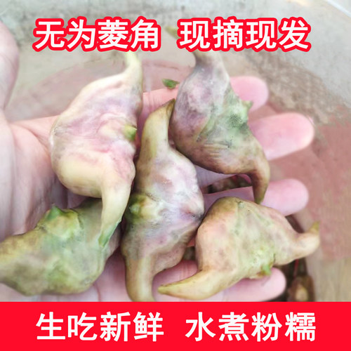 安徽无为特产2角菱角嫩菱角