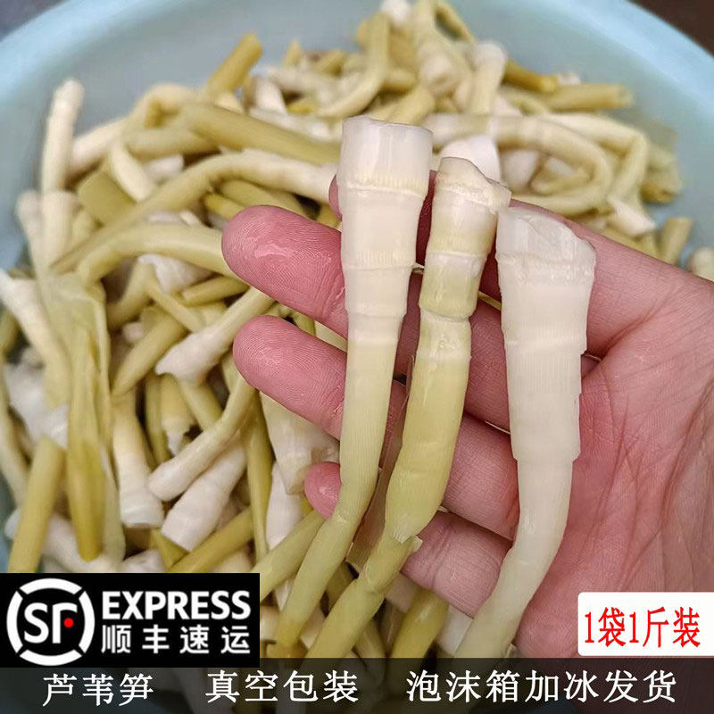 【顺丰包邮】安徽无为特产新鲜蔬菜芦苇笋芦财笋荻笋1袋1斤装包邮