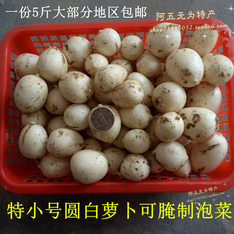 安徽无为特产新鲜圆白萝卜现拔