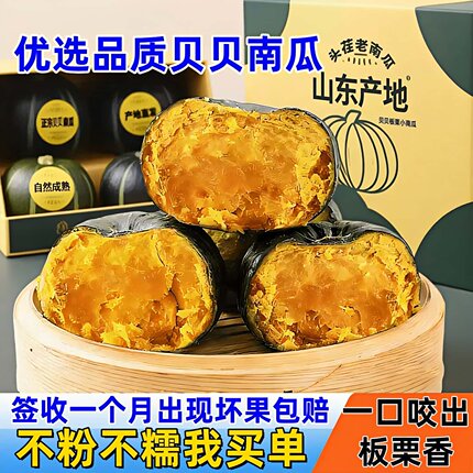 正宗贝贝小南瓜板栗味粉糯婴儿辅食新鲜惠和一号老南瓜潍坊原产地
